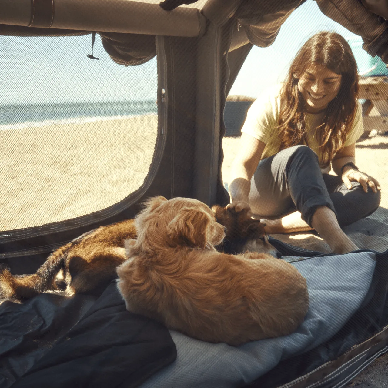 Niche Gonflable pour chiens - DOMETIC - Image 8