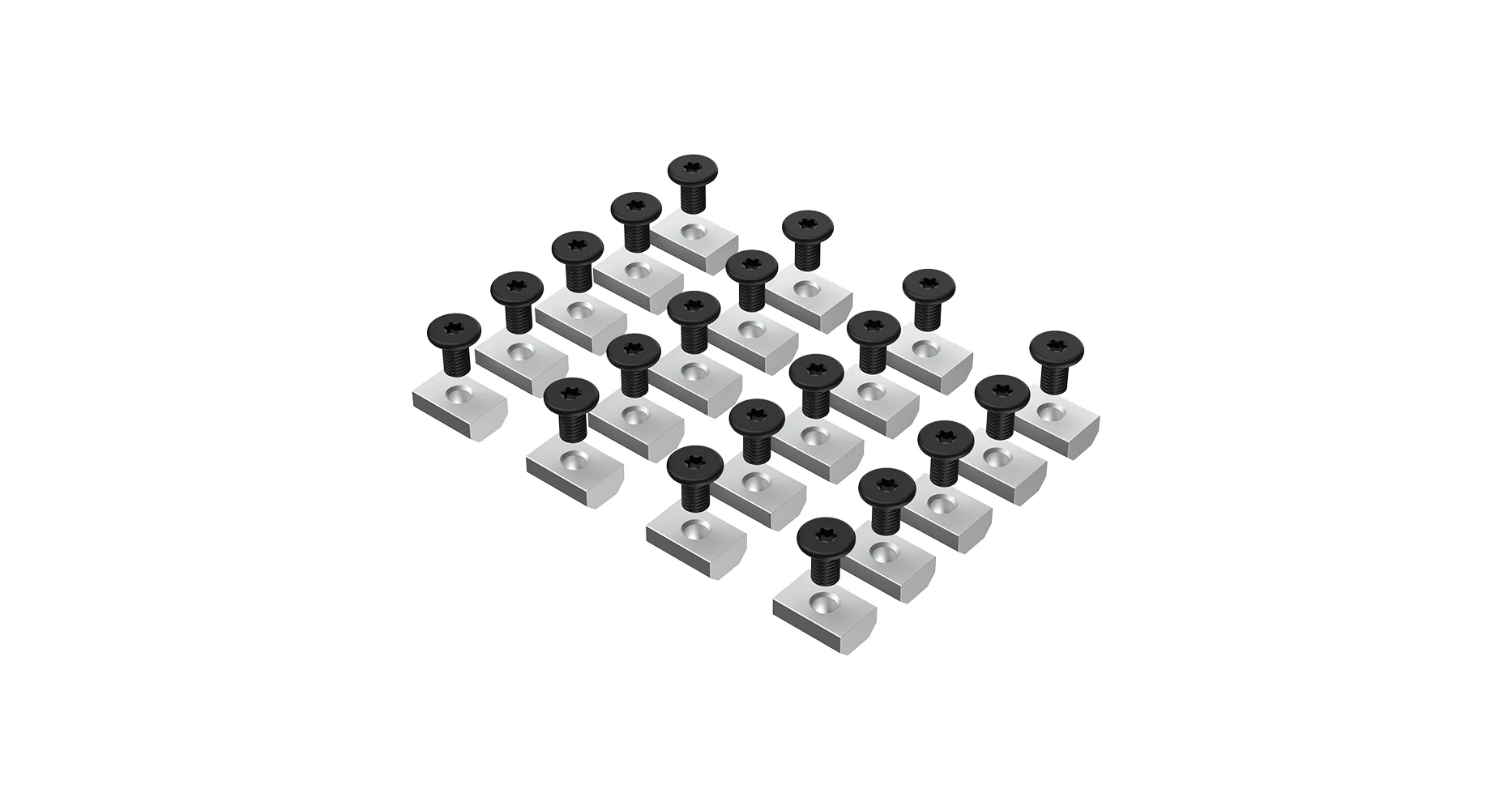 Set de 20 écrous vis de montage galerie Pioneer 6 - RHINO-RACK